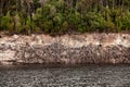 Shoreline of Lake Burbury Tasmania Royalty Free Stock Photo