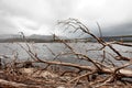 Shoreline of Lake Burbury Tasmania Royalty Free Stock Photo