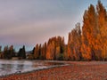 Shoreline of lake Wanaka with autumn trees after sunset