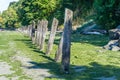 Shoreline Leaning Pilings 8