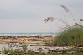 Peaceful Shoreline Scene In Cayo Coco, Cuba Royalty Free Stock Photo