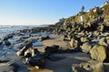 Shoreline at Mountain Street Beach in Laguna Beach, California.