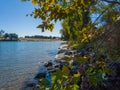 Shoreline of sacramento river in fall with trees growing on levee Royalty Free Stock Photo