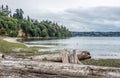 Shoreline At Saltwater State Park