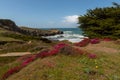 Shoreline of Stewarts Point in spring Royalty Free Stock Photo