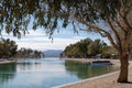 Shoreline Trail in Lake Havasu City