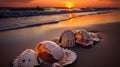 Shoreline Treasures, Majestic Seashells Adorning the Beach at Sunset. Generative AI