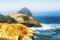 Shoreline view from Cape Kiwanda