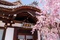 Shorenin Seiryuden Temple with Cherry blossoms. Kyoto, Japan. Royalty Free Stock Photo