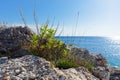 Shores of an island in the mediterraneans Royalty Free Stock Photo