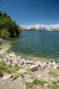 Shores of Jackson Lake, near the Jackson Lake Dam in Grand Teton National Park on a sunny summer day Royalty Free Stock Photo