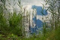 On the shores of Lake Chernoe in the vicinity of the town of Pokrov