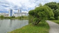 On the shores of the lake grows grass and trees, whose branches lean over the water. On the far shore there are apartment building Royalty Free Stock Photo