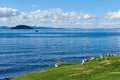 On the shores of Lake Taupo in New Zealand