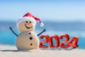 Shoreside Snowman: Seaside Celebration of the new year