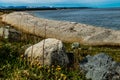 Shoreline of Vessels Brook River. Gros Morne National Park Newfoundland Canada