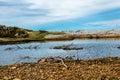 Shorline of Vessels Brook River. Gros Morne National Park Newfoundland Canada