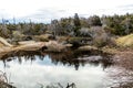 Shoreline of Vessels Brook River. Gros Morne National Park Newfoundland Canada