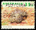 Short-beaked Echidna Tachyglossus aculeatus, Australian Native Wildlife serie, circa 1992