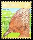 Short-beaked Echidna Tachyglossus aculeatus, Australian Wildlife serie, circa 1987