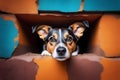 A cute brown and black dog peeks out from a hole in a brick wall with a concerned look on its face Royalty Free Stock Photo