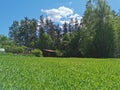 A short-cropped lawn, a small wooden house in the distance against the background of trees and blue sky Royalty Free Stock Photo