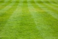 Short cut grass with visible stripes Royalty Free Stock Photo