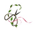 Short decorative scissors with green leaves and pink satin ribon in floral arrangement isolated on white Royalty Free Stock Photo