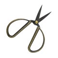 Short decorative scissors with wide rings isolated Royalty Free Stock Photo