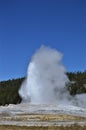 Geyser spews into the air with boiling water and steam