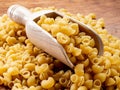 Short durum wheat pasta