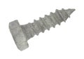 Short galvanized steel lag bolt