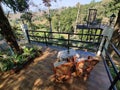 A short at the garden cafe that has steel tables and steel chairs. Royalty Free Stock Photo