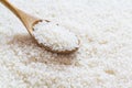 Short Grain Rice Royalty Free Stock Photo