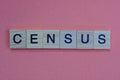 Short gray word census in small wooden letters