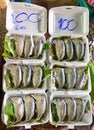 Short mackerel prepared as Pla Thu on polystyrene lunch box in Samut Songkhram Thailand