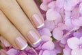 Short pink lilac French manicure. Royalty Free Stock Photo