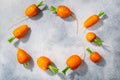 Short Rondo carrots on grey textured background with copy space,  top view Royalty Free Stock Photo