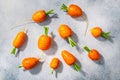 Short Rondo carrots on grey textured background,  top view Royalty Free Stock Photo