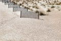 Short sections of erosion fence protecting dunes planted with sea grass, white sandy beach, creative copy space Royalty Free Stock Photo