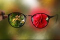 Short sight myopia glasses on summer garden with rose background sharp focus