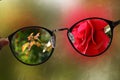 Short sight myopia glasses on summer garden with rose background sharp focus