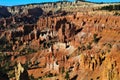 Short spires in Bryce Canyon