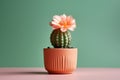 a short, stubby cactus with a single flower in a terracotta pot
