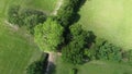 short video clip of drone descending towards oak tree canopy from directly above