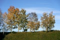 From a short walk in the cultural landscape of Toten, Norway, in autumn.