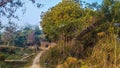 Short way next to Kusha and Neem trees. Indian village road Royalty Free Stock Photo