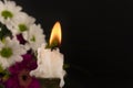 Short candle burning in close-up among flowers Royalty Free Stock Photo
