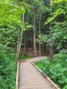 Wooden Walkway in Strasburg Woods