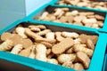 Shortbread cookies with powdered sugar packaged in a boxes Royalty Free Stock Photo